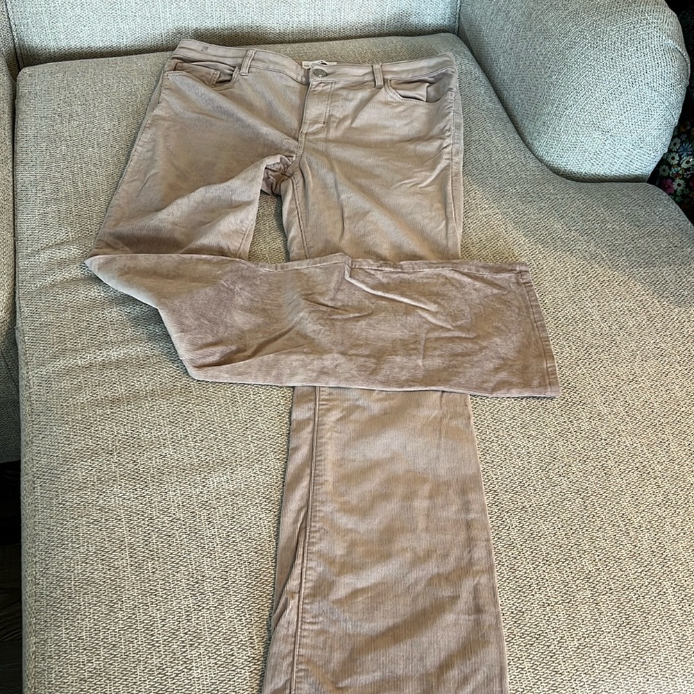 NWOT LOFT Corduroy pants Boot Flare leg Size: 29/8                     5 pocket